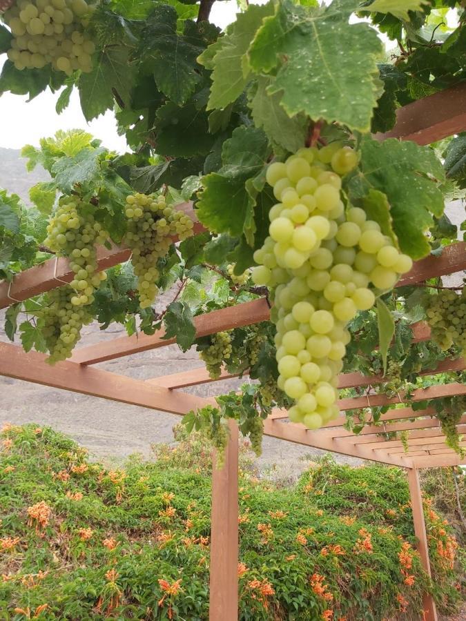 弗龙特拉Mi Jardin别墅 外观 照片