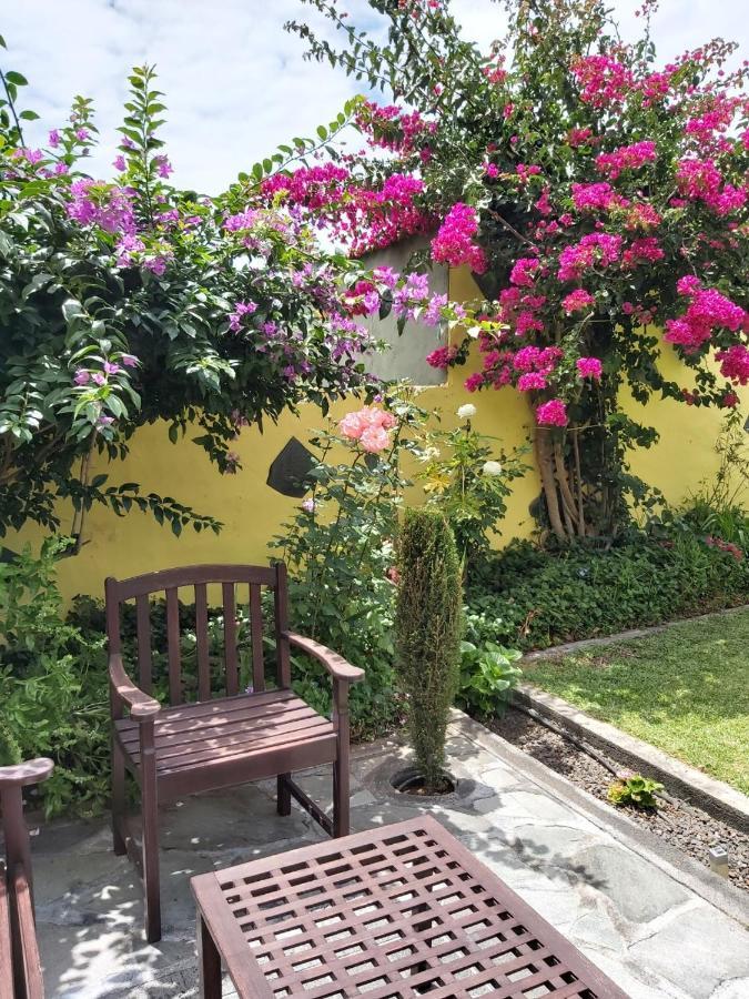 弗龙特拉Mi Jardin别墅 外观 照片