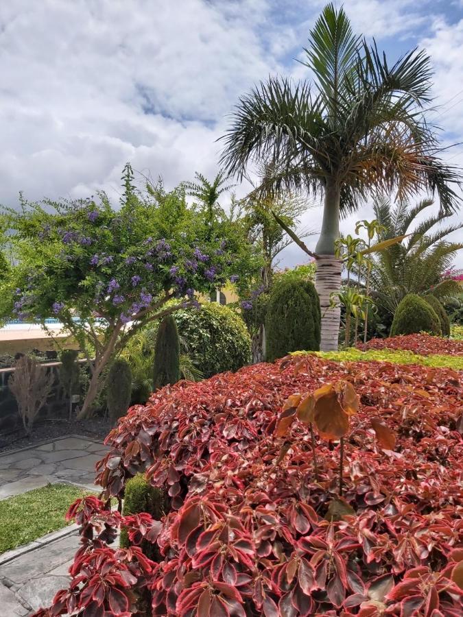 弗龙特拉Mi Jardin别墅 外观 照片