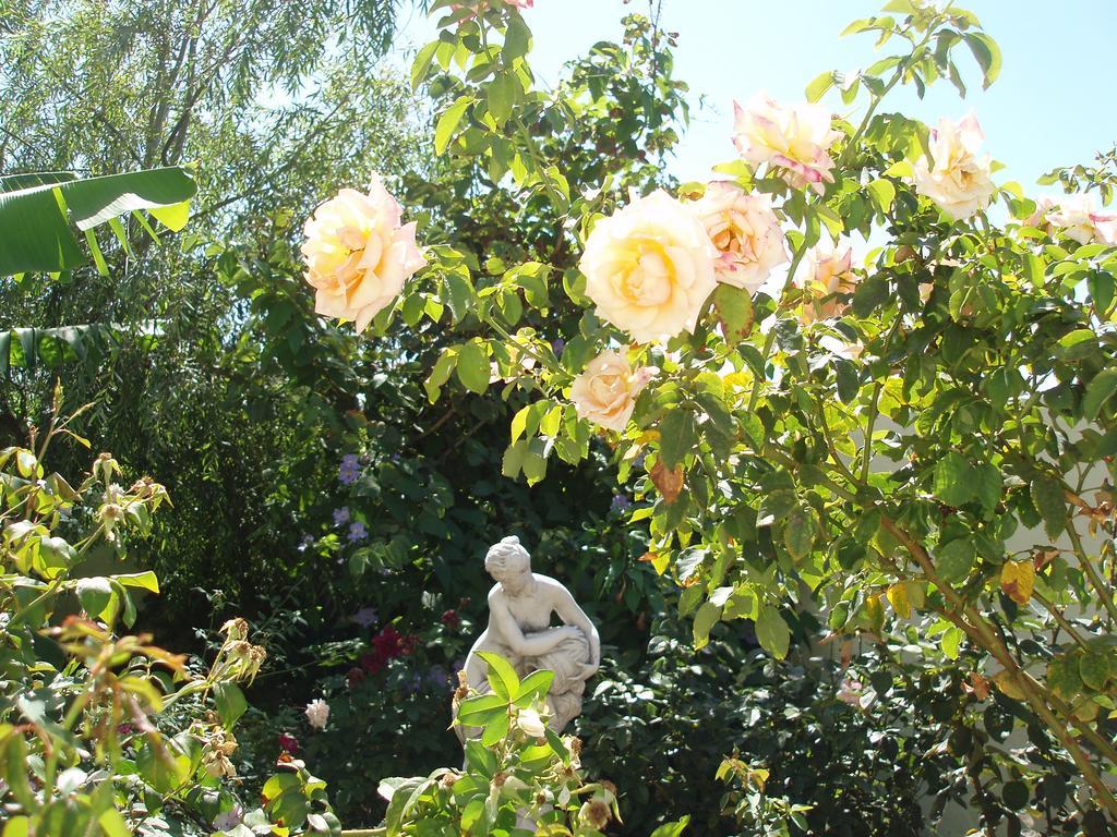 弗龙特拉Mi Jardin别墅 外观 照片